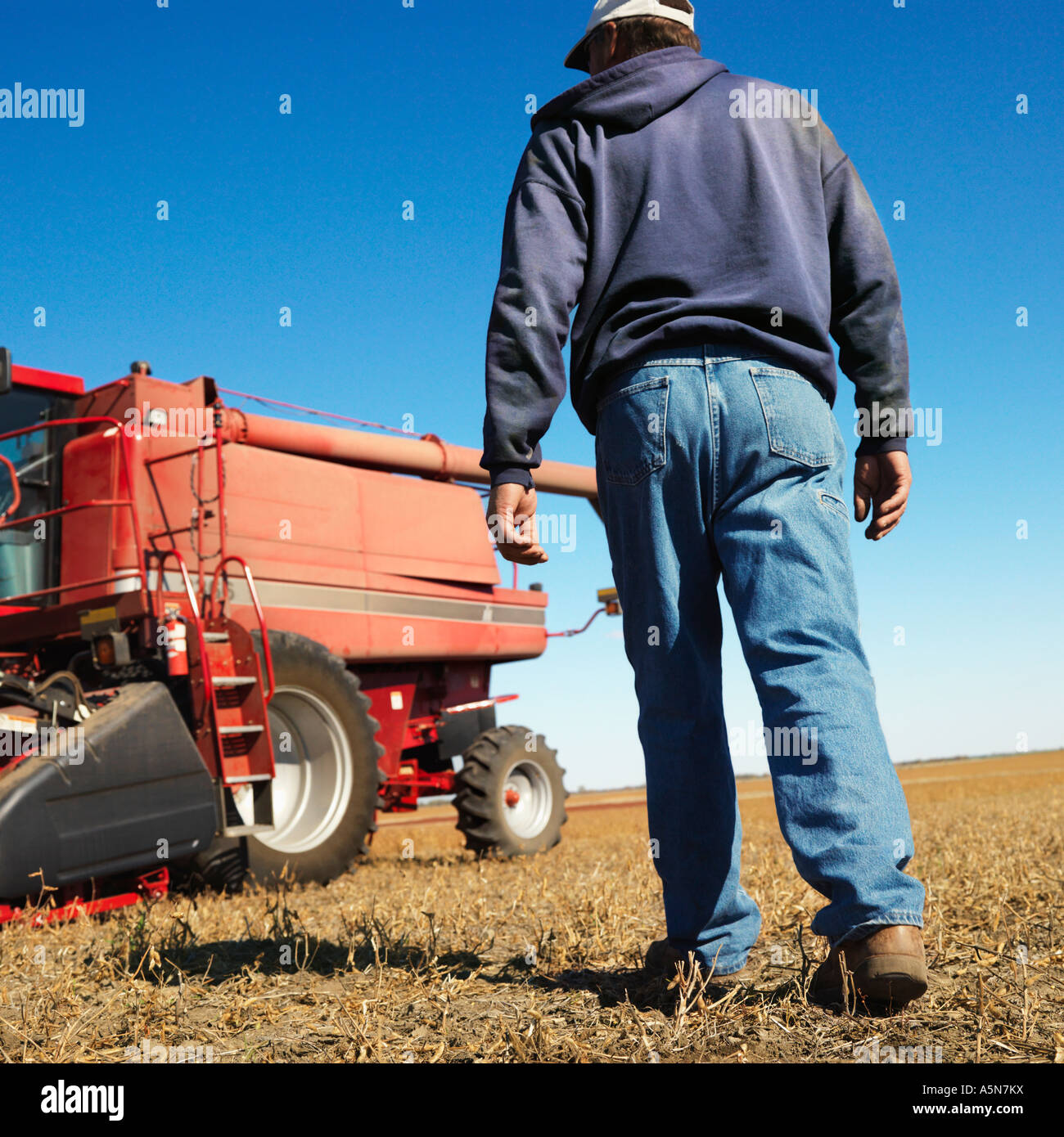 Basso angolo vista posteriore di Caucasion di mezza età agricoltore maschio camminando verso la mietitrebbia nel campo di soia Foto Stock