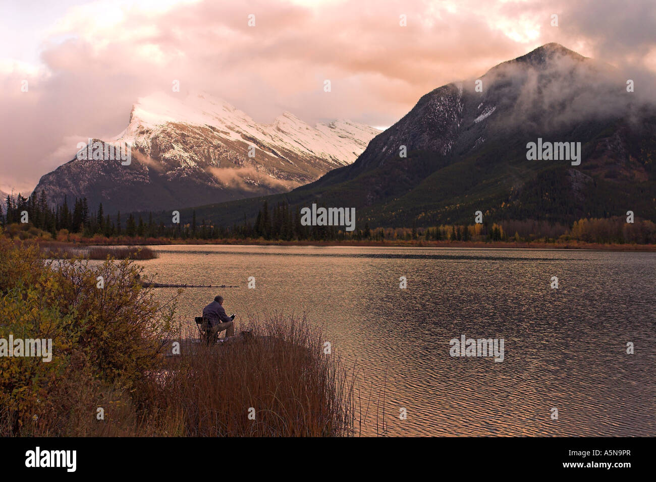 Lavora fino a tardi rosa Foto Stock