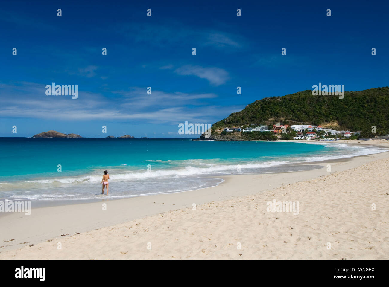 Spiaggia di Flamands St. Barths Foto Stock