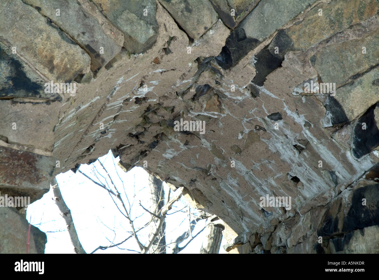 Il nido d'aquila rovine della casa a Mount Tom membro Prenotazione in Holyoke, Massachusetts, STATI UNITI D'AMERICA Foto Stock