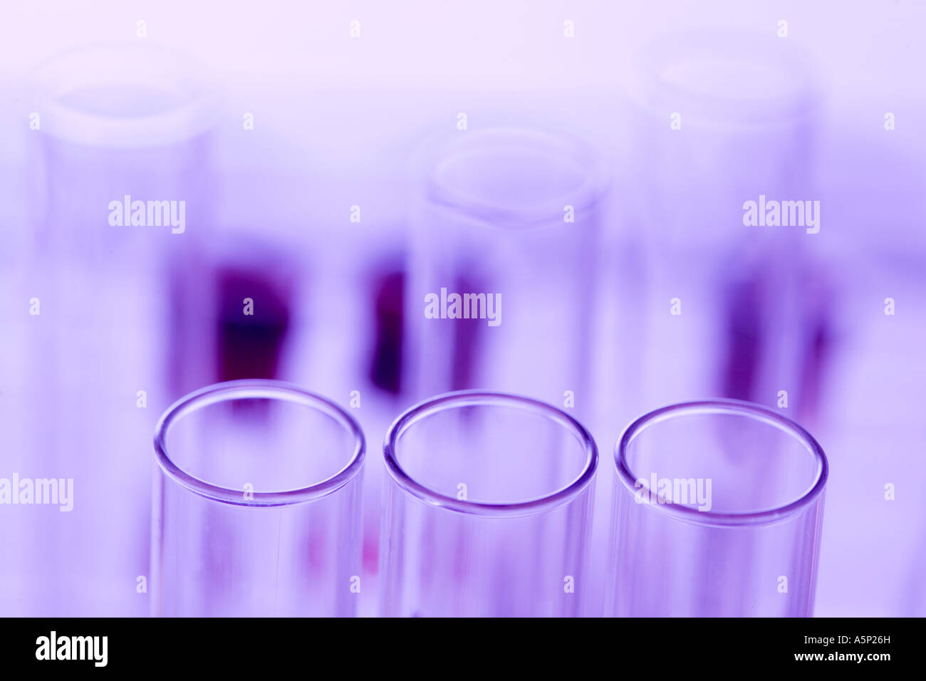Cime di testtubes. Tre cerchi. Sfondo di colore viola. Foto Stock