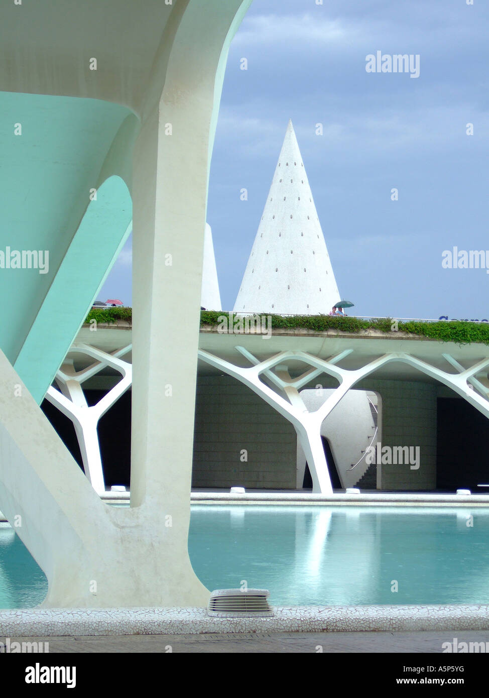 Città delle Arti e delle Scienze (Ciudad de las Artes y Ciencias), Valencia, Spagna. Foto Stock