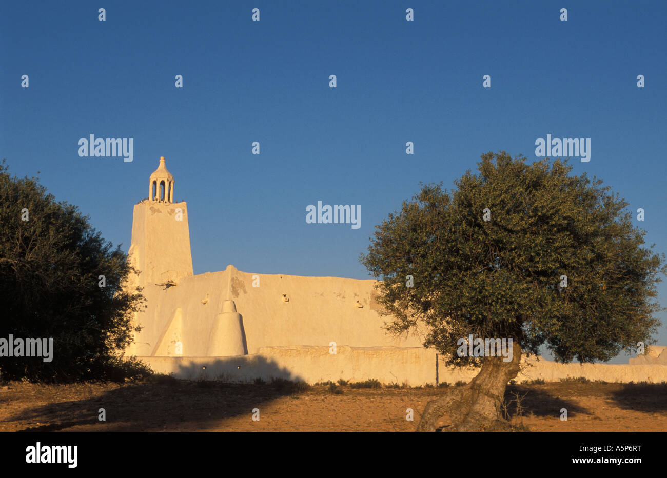 La moschea Mouzline distintivo moschea Jerban Jerba Tunisia Foto Stock