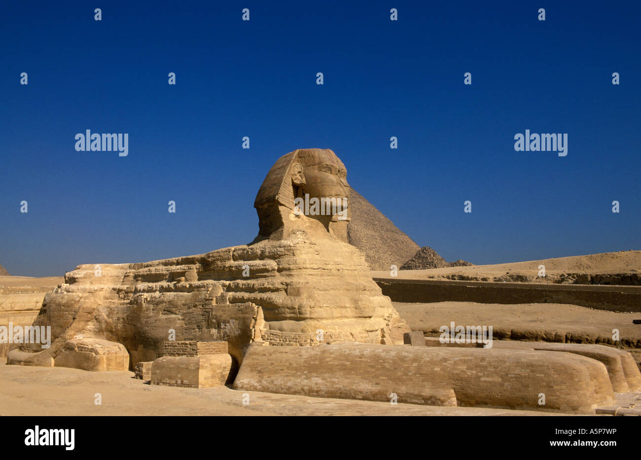 La Sfinge, le Piramidi di Giza, il Cairo, Egitto Foto Stock