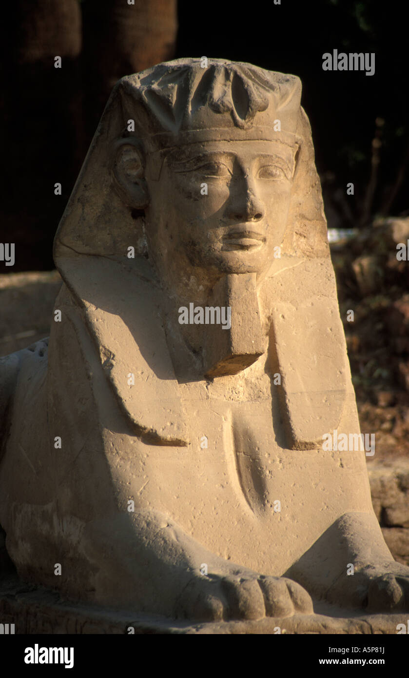 Testa umana sphinx nel Tempio di Luxor Luxor Egitto Foto Stock