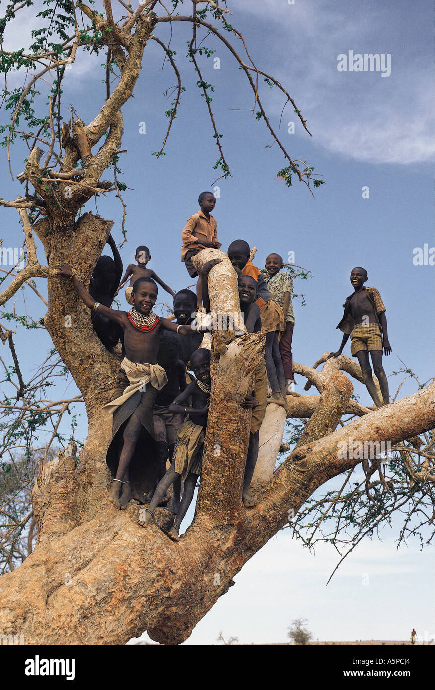 Rendille bambini che giocano in una struttura ad albero Korr Kenya Settentrionale Africa orientale Foto Stock