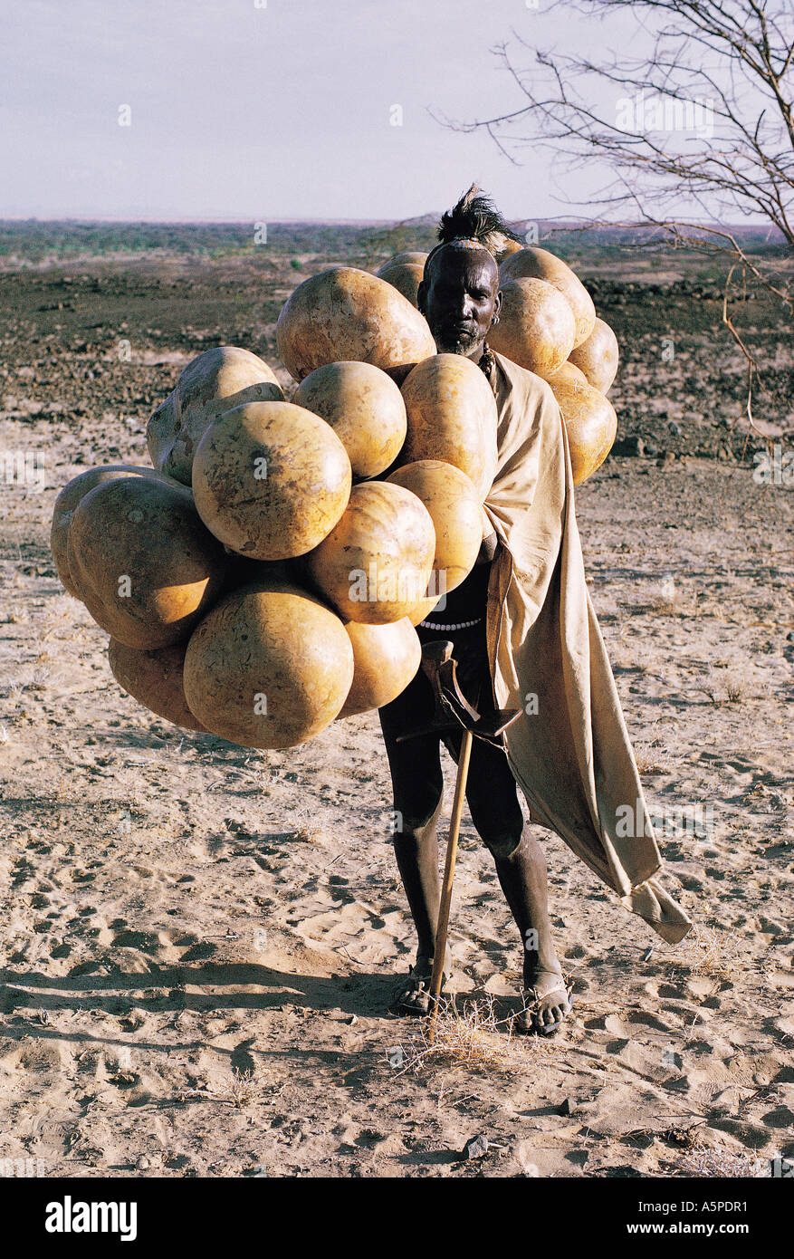 Turkana uomo che trasportava zucche per essere utilizzati come portatori di acqua nei pressi di Lodwar nel nord del Kenya Africa orientale Foto Stock