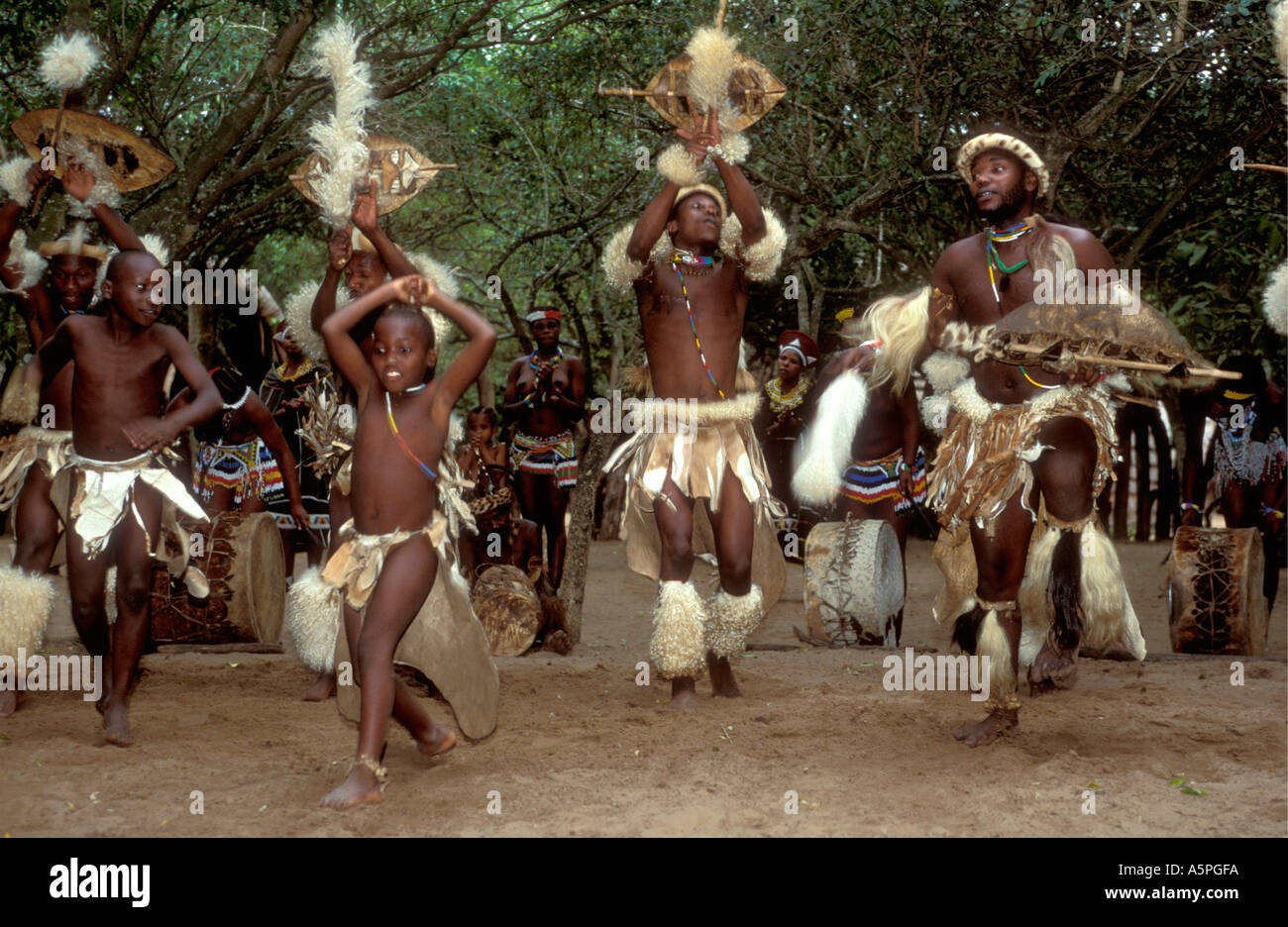 Zulu ballerini tradizionali Kraal Damazulu Kwa Zulu Natal Sud Africa Foto Stock