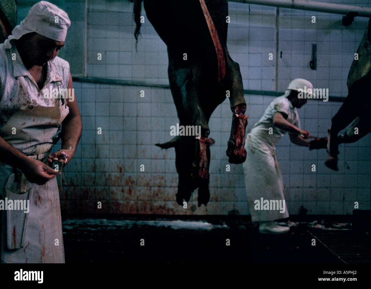 BANCALARI MACELLO, BUENOS AIRES, Argentina Foto Stock