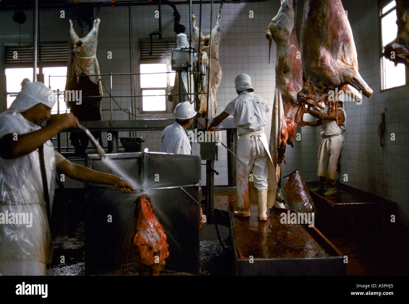 BANCALARI MACELLO, BUENOS AIRES, Argentina Foto Stock