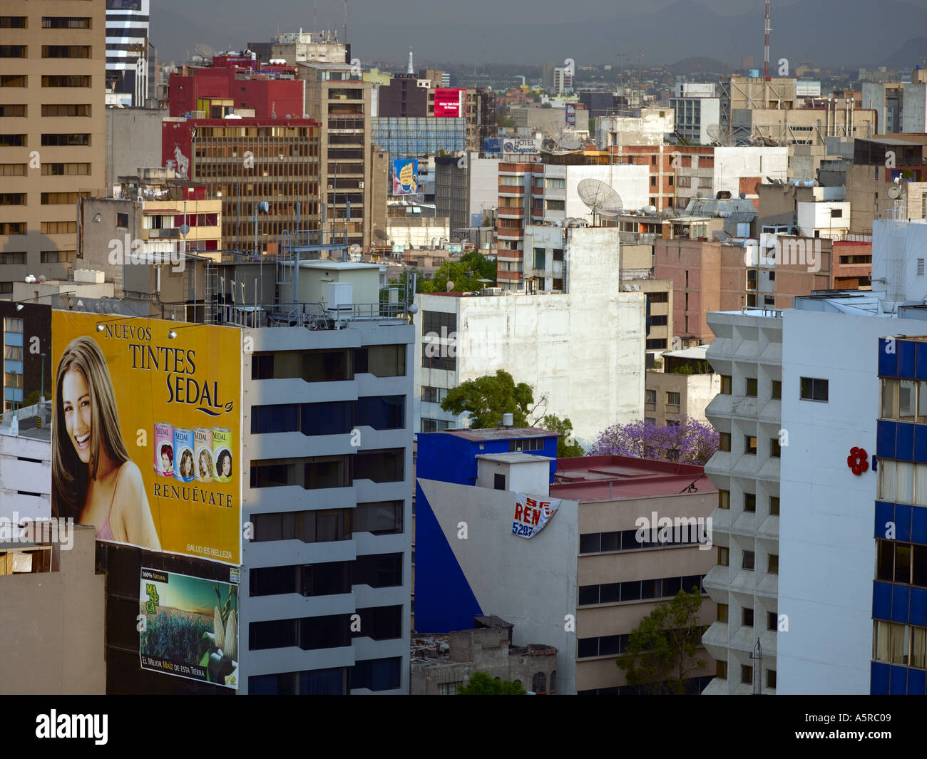 Città del Messico, il quartiere degli affari Foto Stock