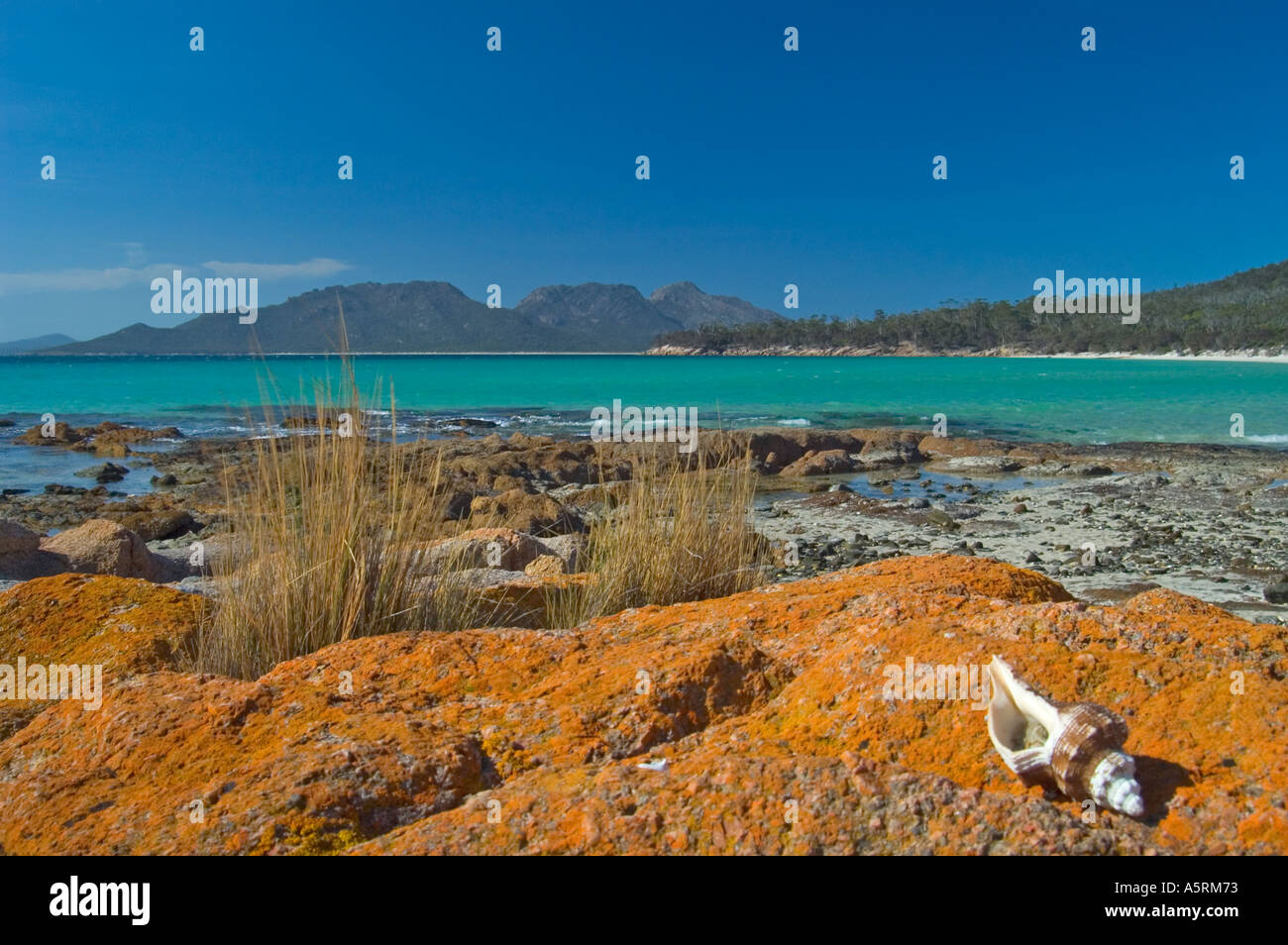 Cuocere s spiaggia di freycinet nationalpark tasmania australia Foto Stock