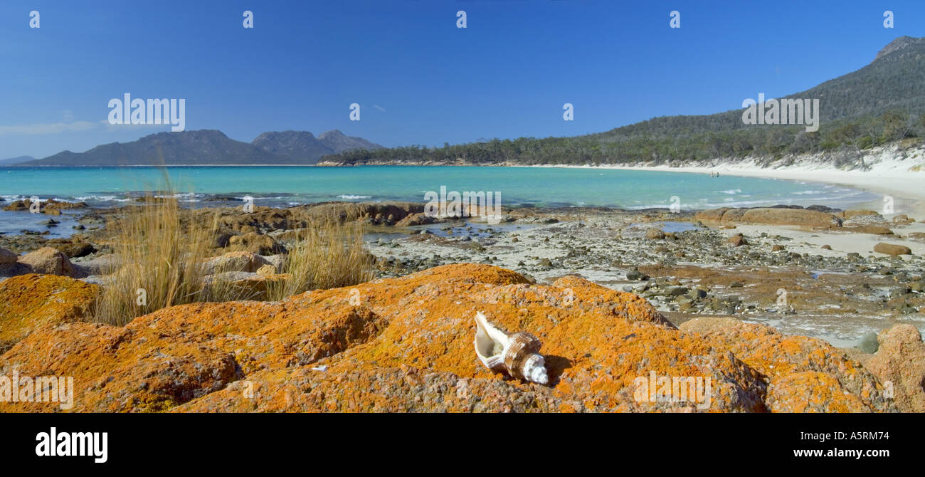 Cuocere s spiaggia di freycinet nationalpark tasmania australia Foto Stock