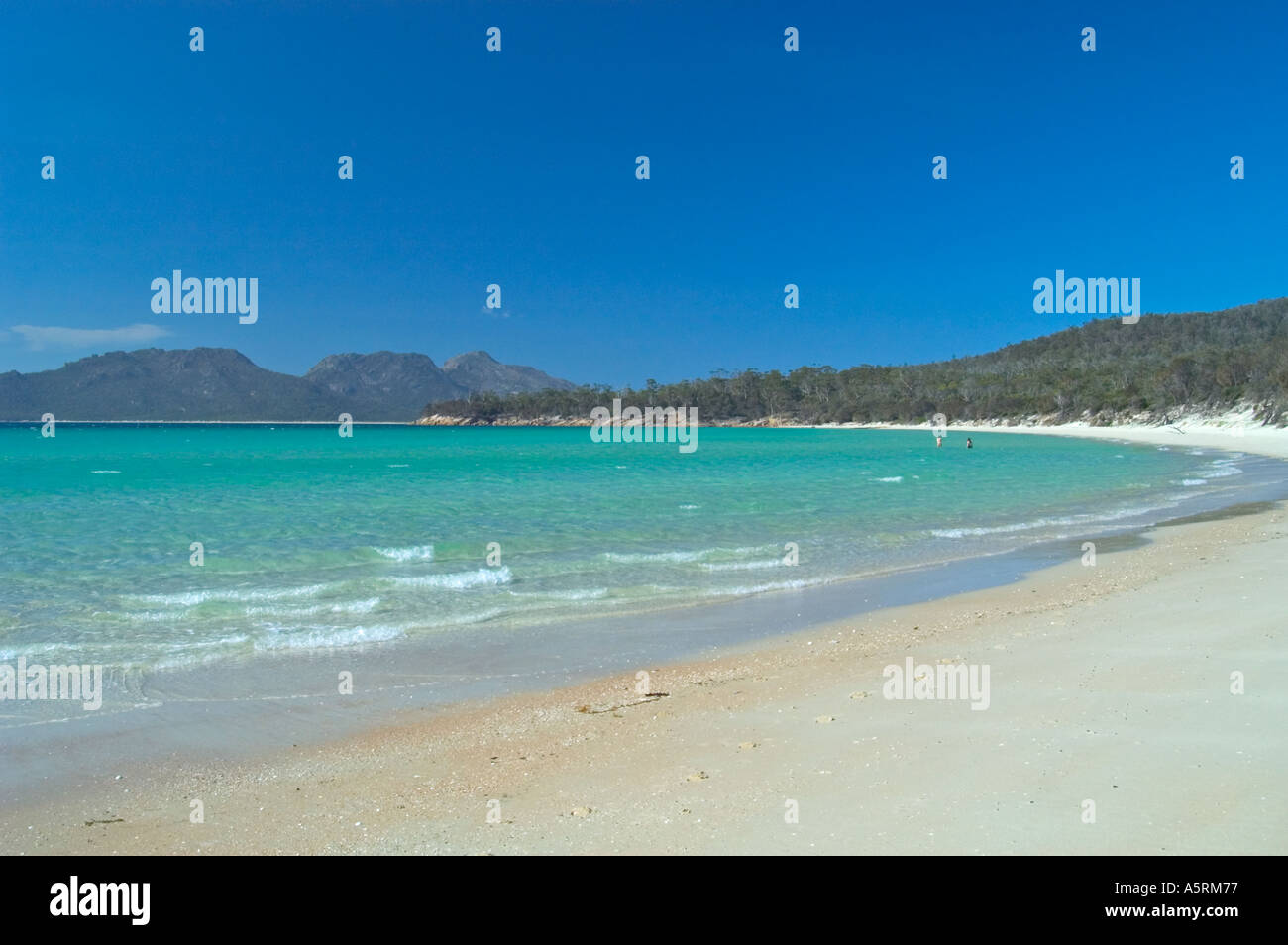 Cuocere s spiaggia di freycinet nationalpark tasmania australia Foto Stock