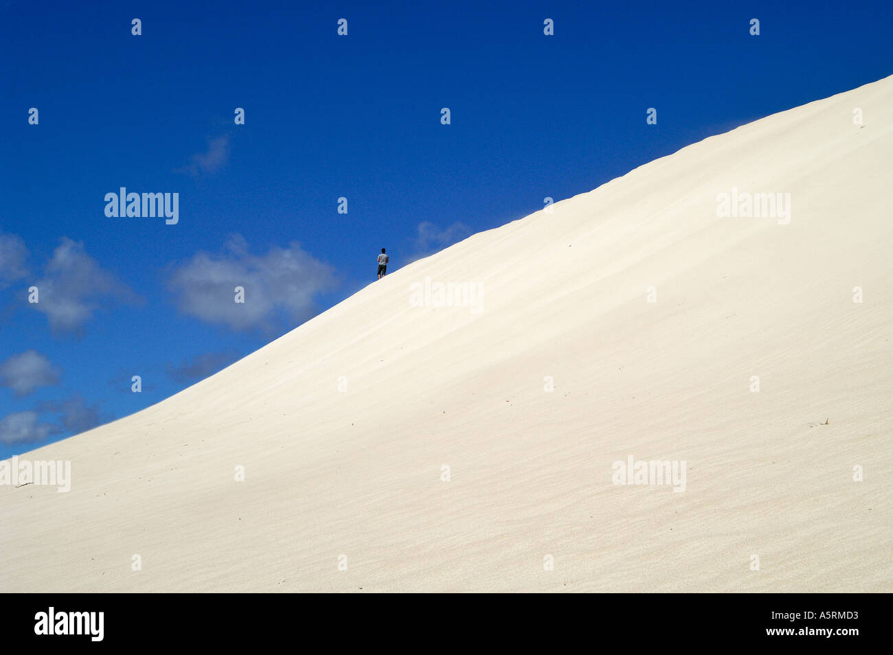 Dune di Little Sahara su Kangaroo Island South australia australia Foto Stock