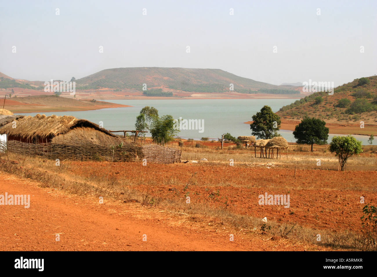 Tribali tradizionali diritti ereditari di terreni agricoli in Orissa è contestata da varie Indian organi di governo Foto Stock