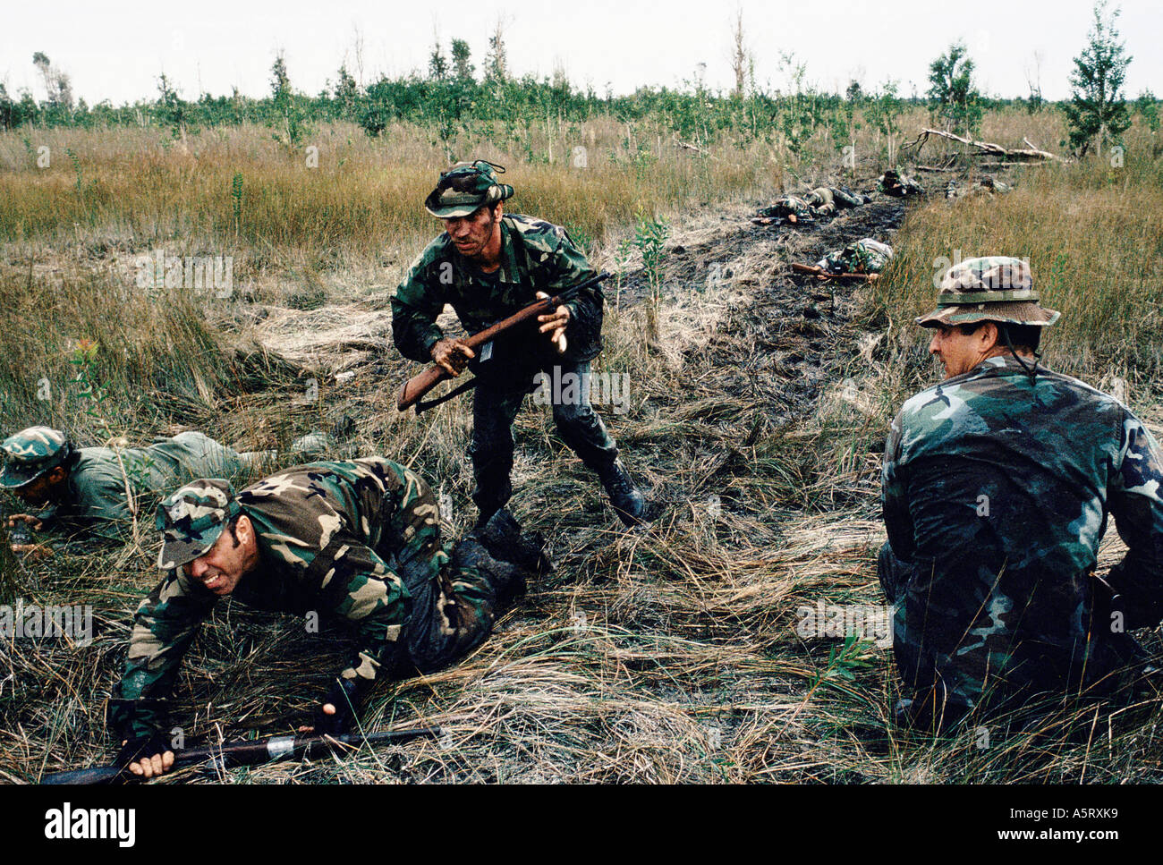 Esuli cubani a Miami Troop della Alfa 66 in uniforme militare che porta Fucili a canna rigata durante un esercizio di formazione strisciando lungo Foto Stock