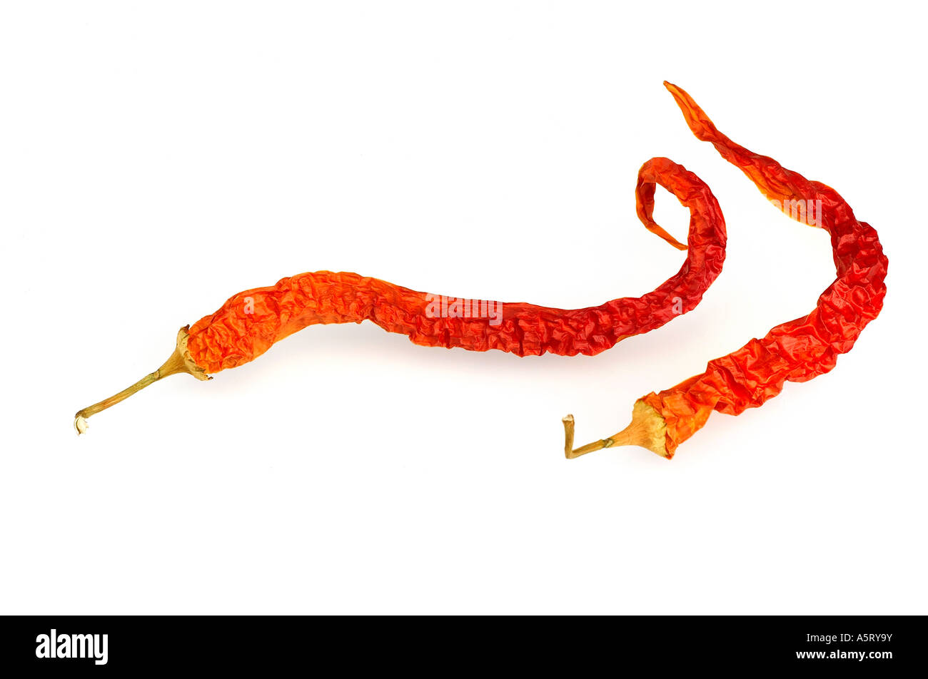 Red Hot Chili Peppers su sfondo bianco Foto Stock