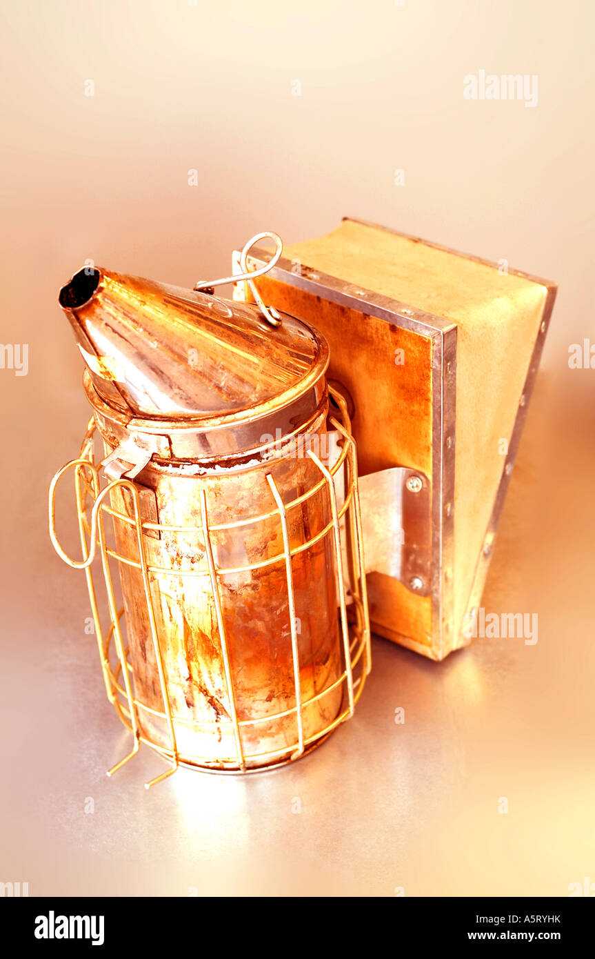 Fumatore di alveare Foto Stock