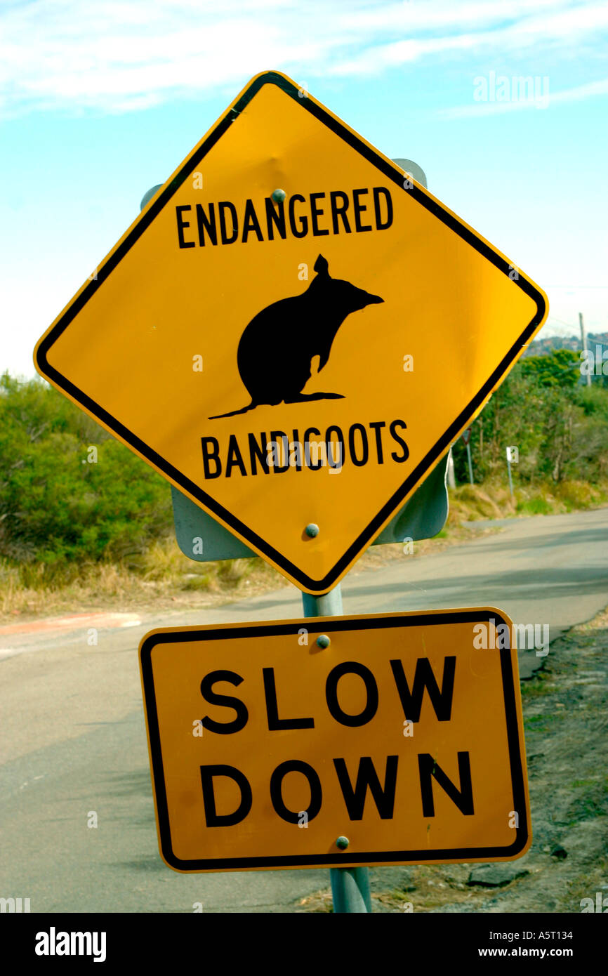 Segnale di avvertimento per la fauna selvatica vicino a Manly a Sydney Foto Stock