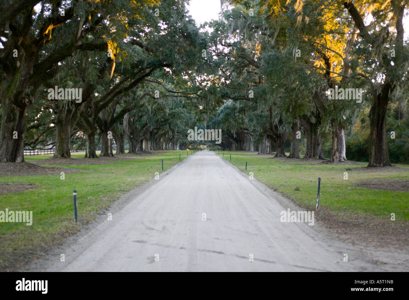 Boone Hall Plantation Charleston, Carolina del Sud Foto Stock