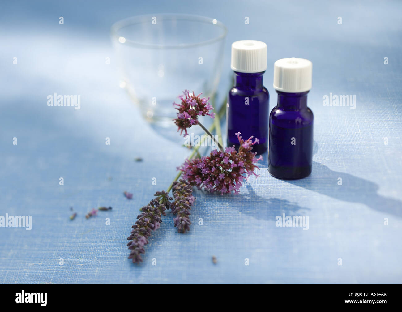 Oli essenziali di erbe e fiori Foto Stock