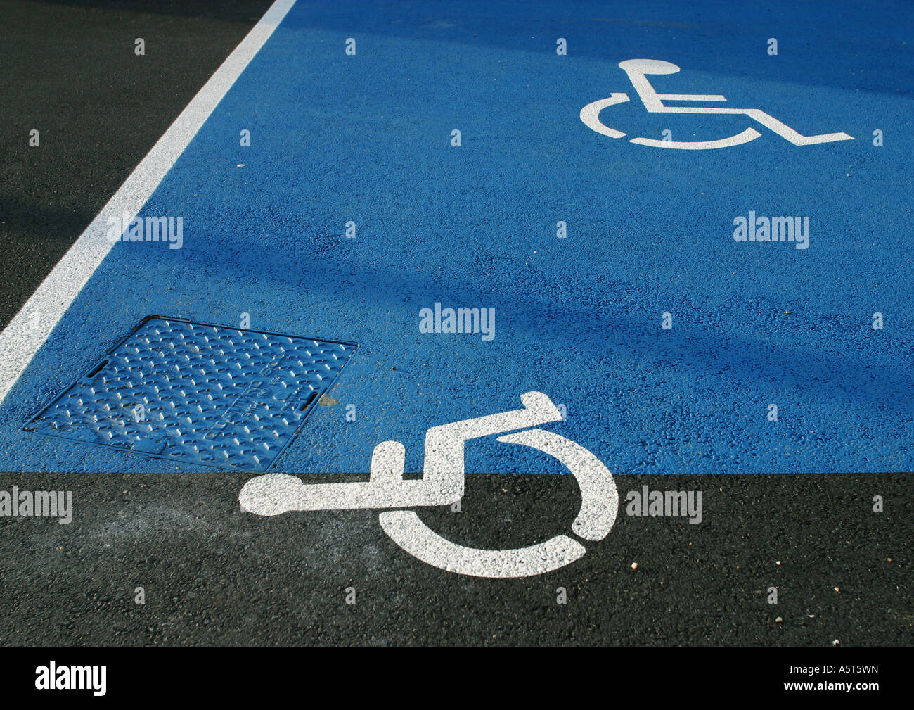 Simboli portatori di handicap su asfalto Foto Stock
