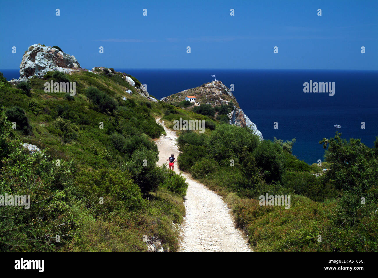 Cape Kastro Skiathos Grecia Foto Stock