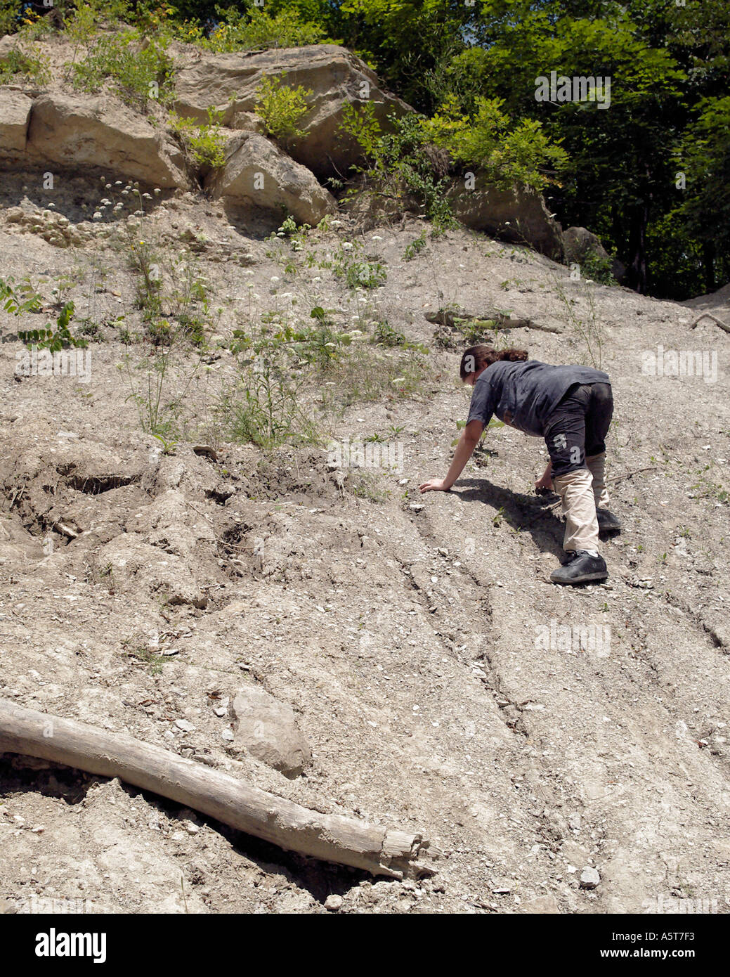 Teen girl cerca fossili in Rock Glen Area di Conservazione di Ontario Canada Foto Stock