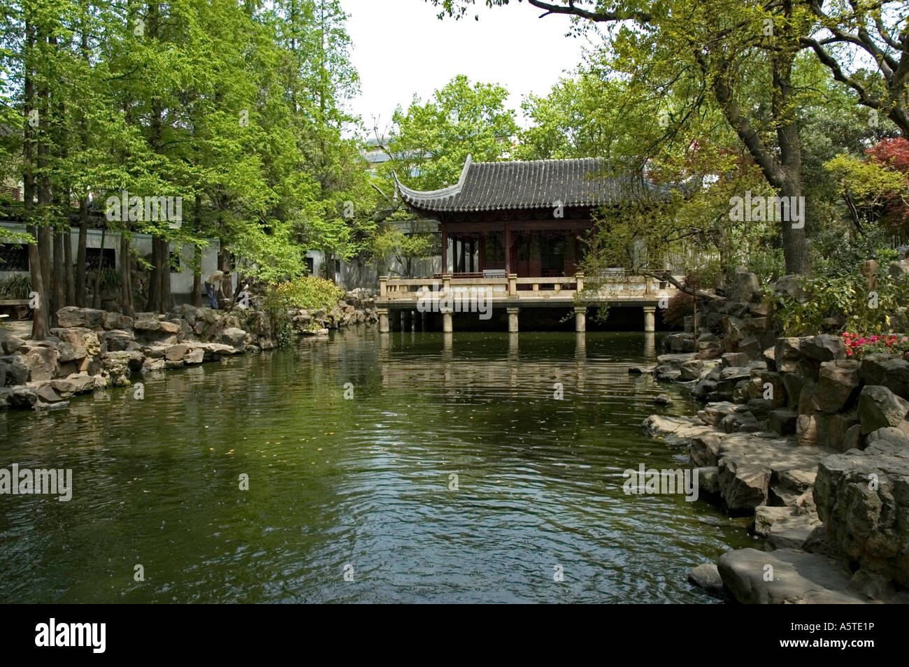 I nove Lion Studio, affaccia su una tranquilla piscina delimitata da disposti accuratamente le rocce e alberi e il Giardino Yu Yuan, Shanghai Foto Stock