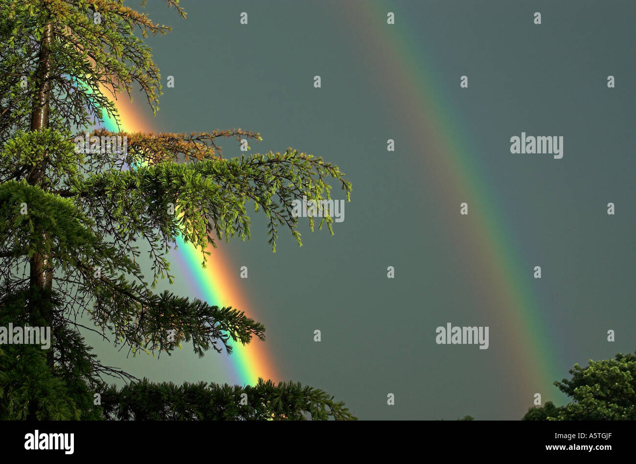 Due arcobaleni Foto Stock