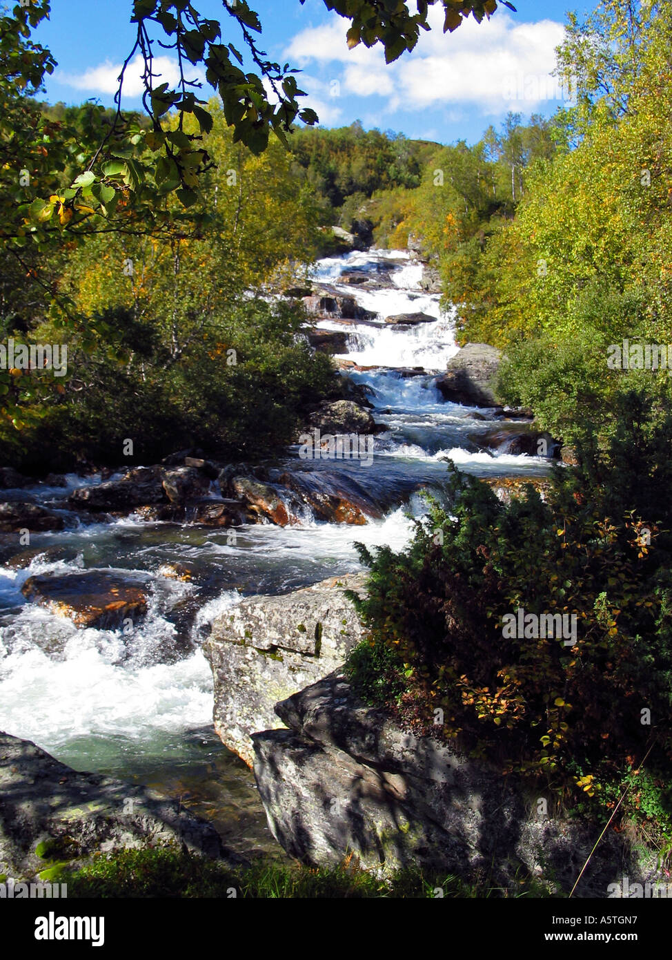 Cascata che scorre attraverso la valle verde Jotunheimen Norvegia Foto Stock