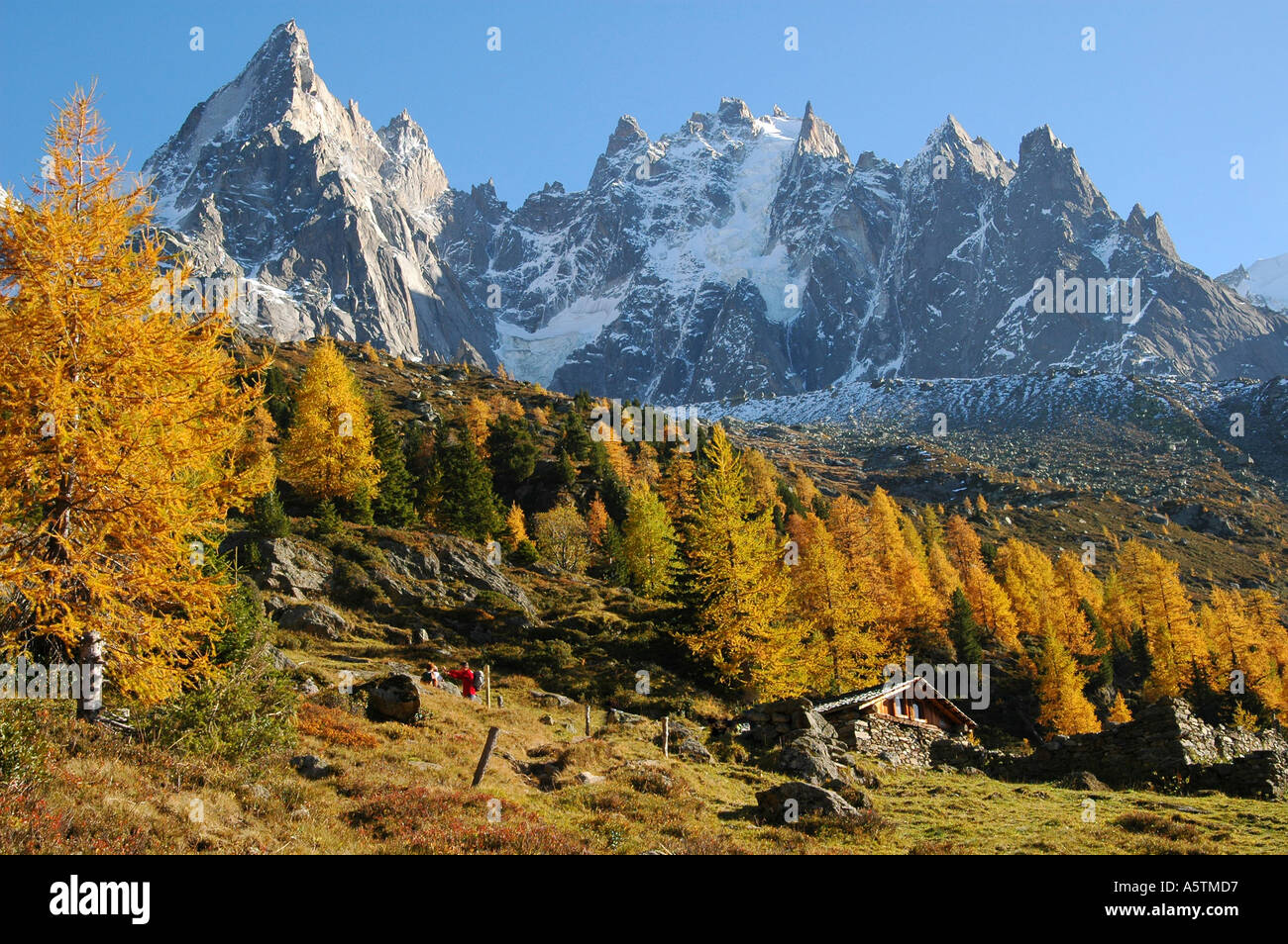 Herbst in den Bergen Chamonix Frankreich rientrano nelle Alpi Chamonix Francia Foto Stock