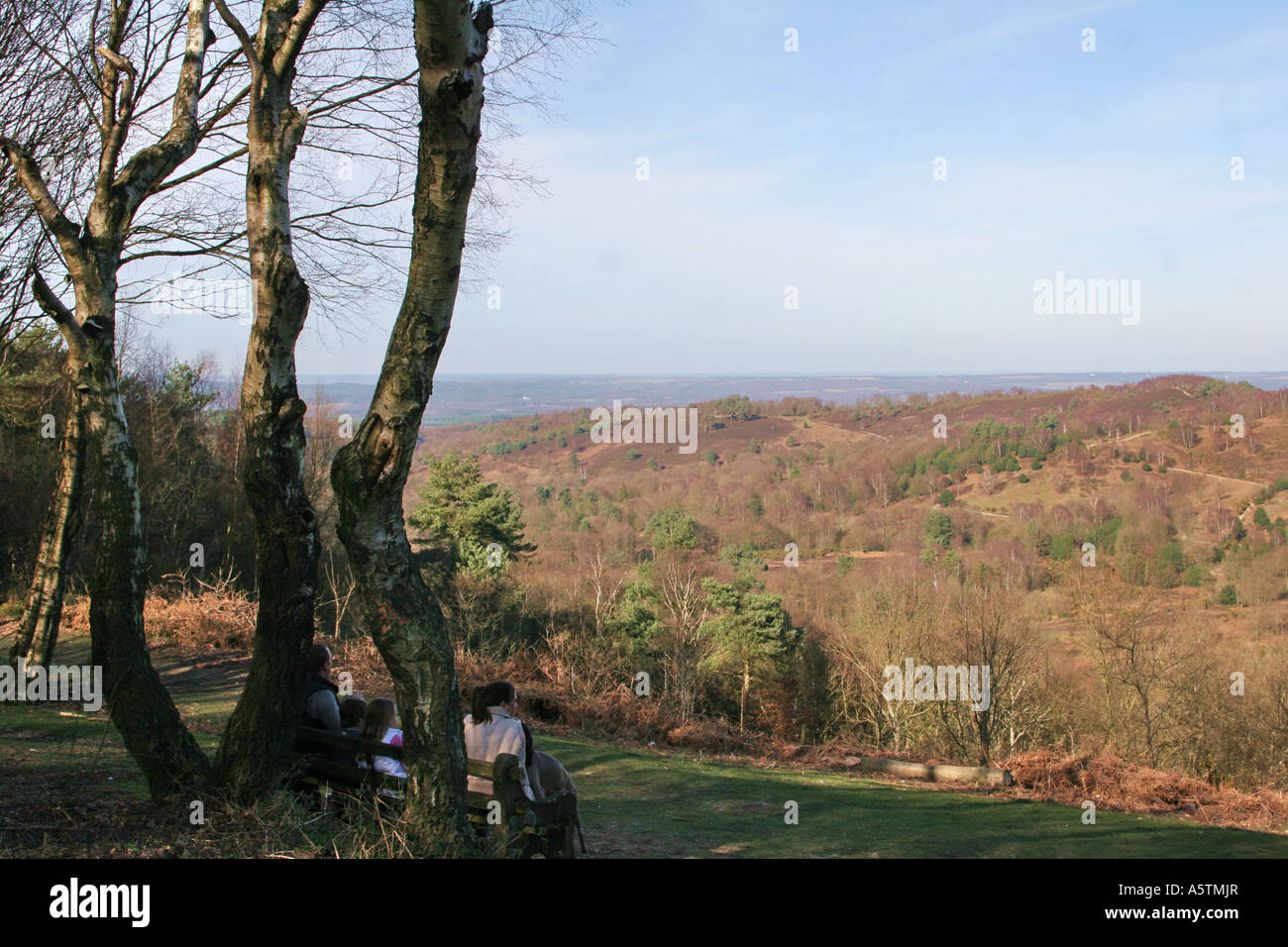 Devils Punch Bowl, Surrey in Inghilterra Foto Stock