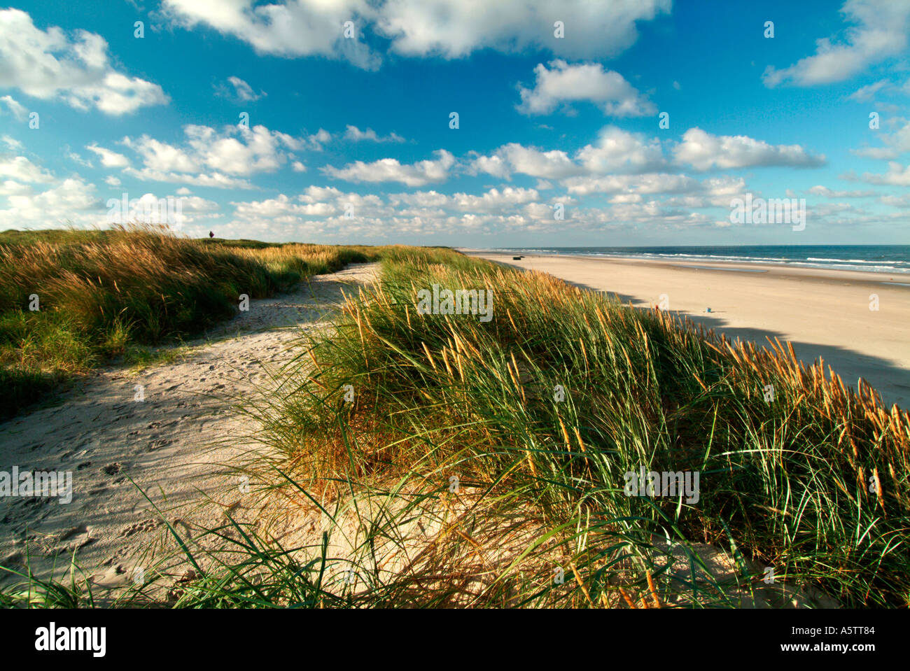 Cielo nuvoloso sulla spiaggia del Mare del Nord in Danimarca Foto Stock