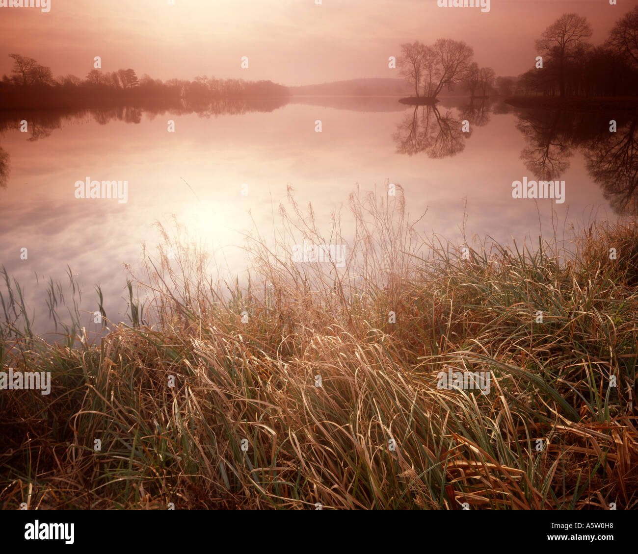 GB - North Yorkshire: Autunno mattina presso il lago di Castle Howard Foto Stock