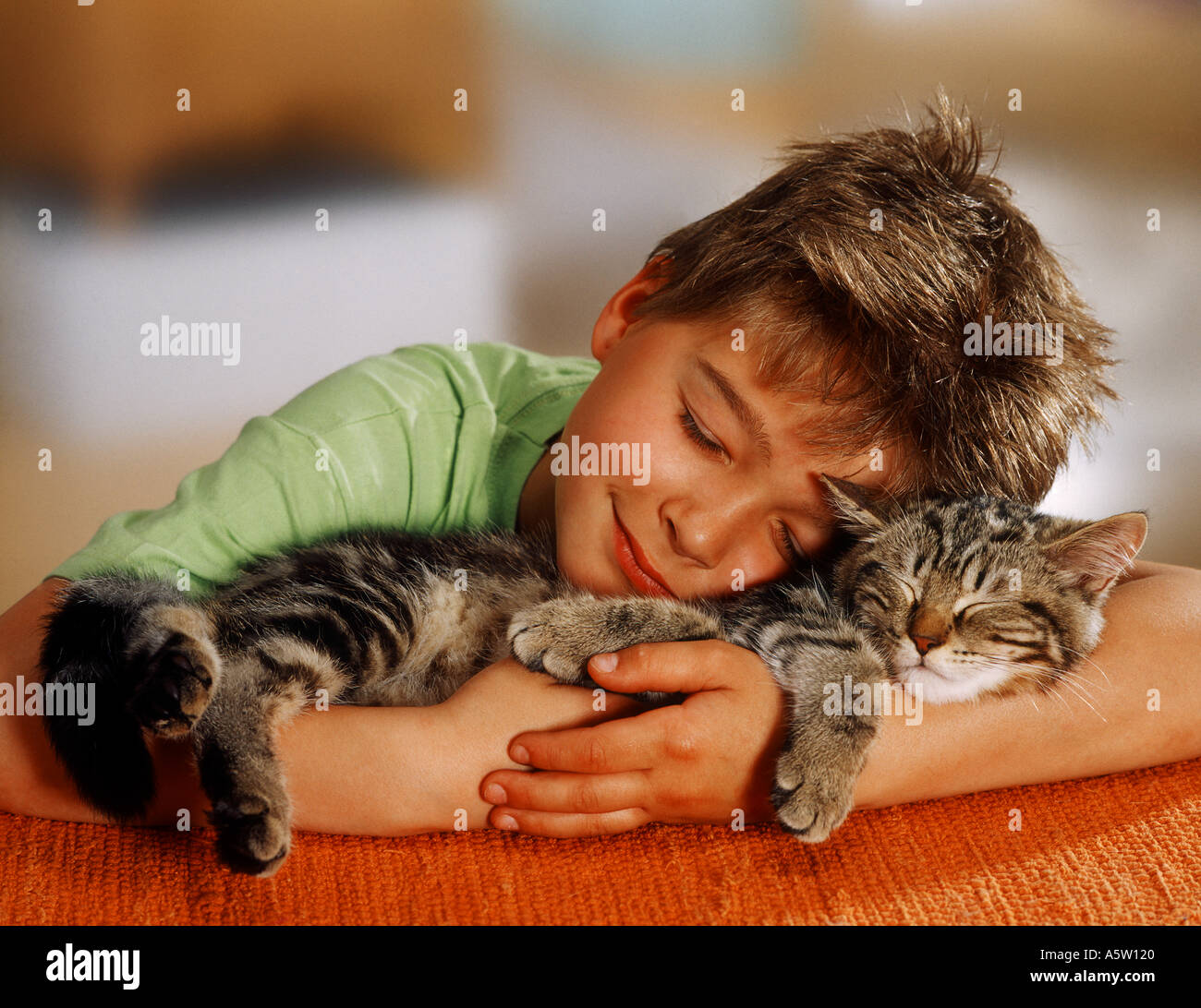 Ragazzo con British Shorthair cat. bothsleeping Foto Stock