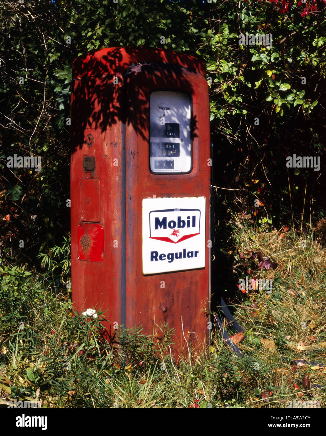 Vecchio rosso e rusty pompa benzina in una siepe stradale,al Vigneto di Martha,U.S.A. Foto Stock