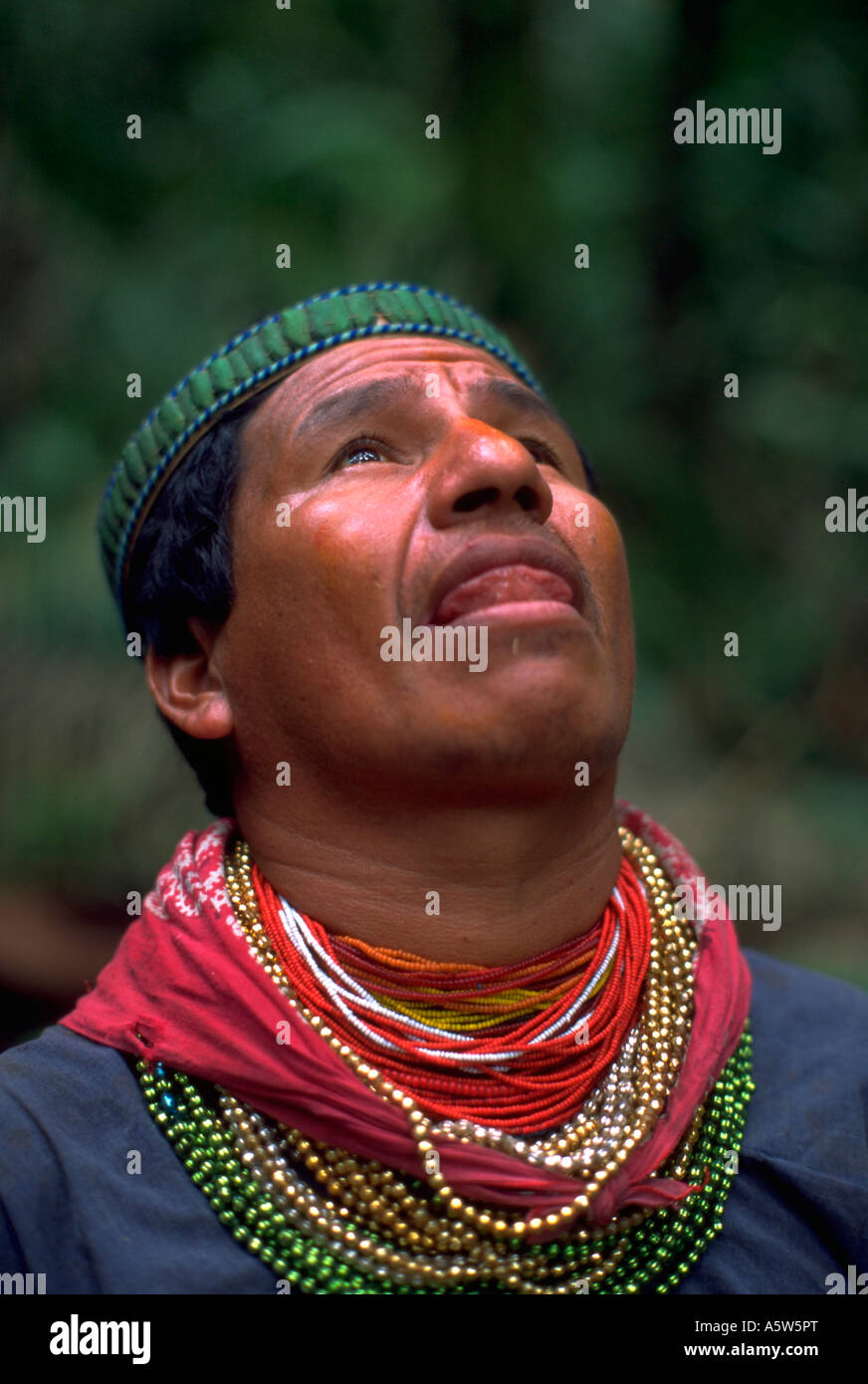 Painet hl0612 amazon rain forest ecuador alberi bussola nella giungla del  Sud America l'uomo maschio nativo collana abito cofan persone tribù Foto  stock - Alamy