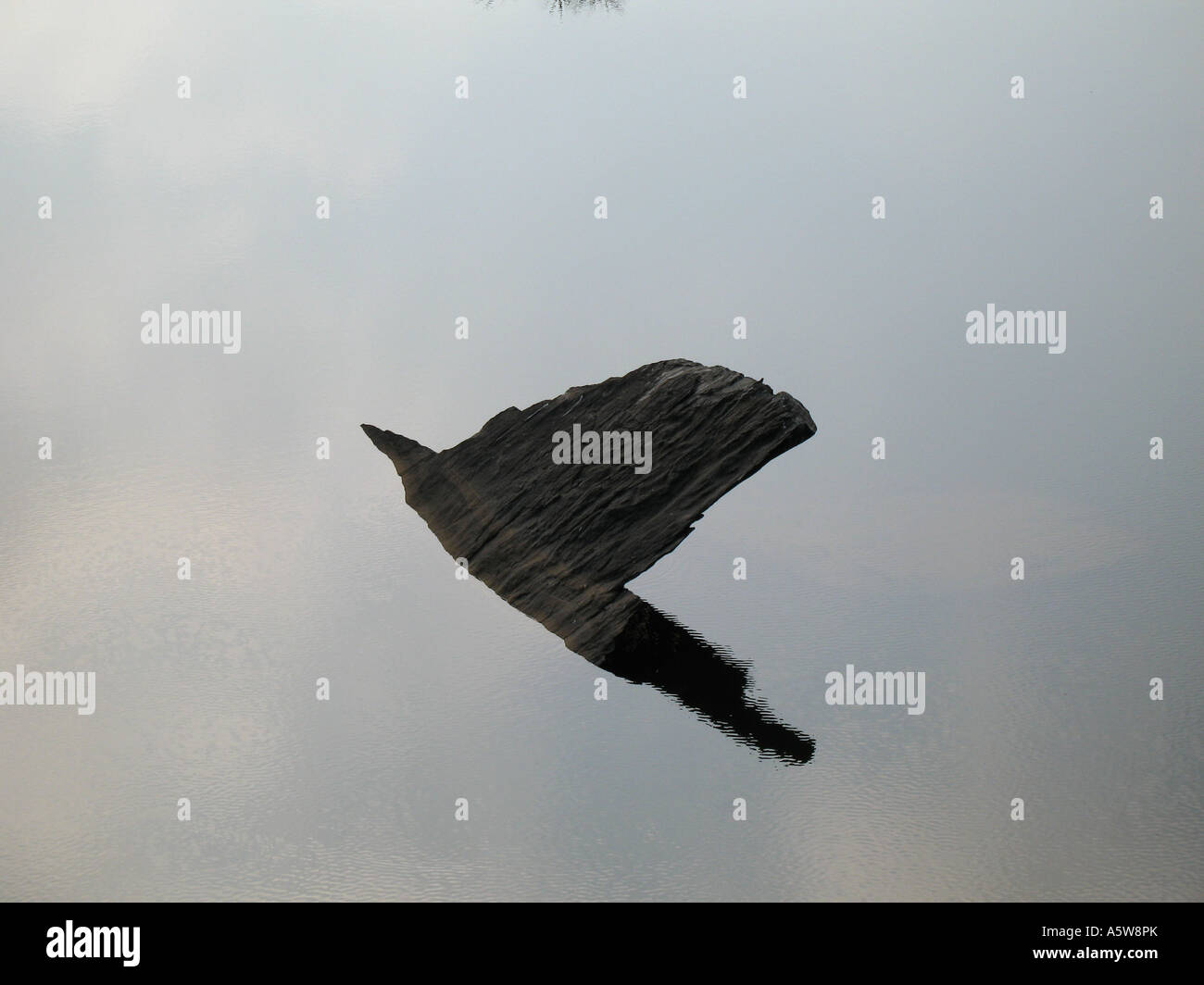 Una roccia sommerso in acqua e riflessa che assomiglia a un uccello in volo Foto Stock