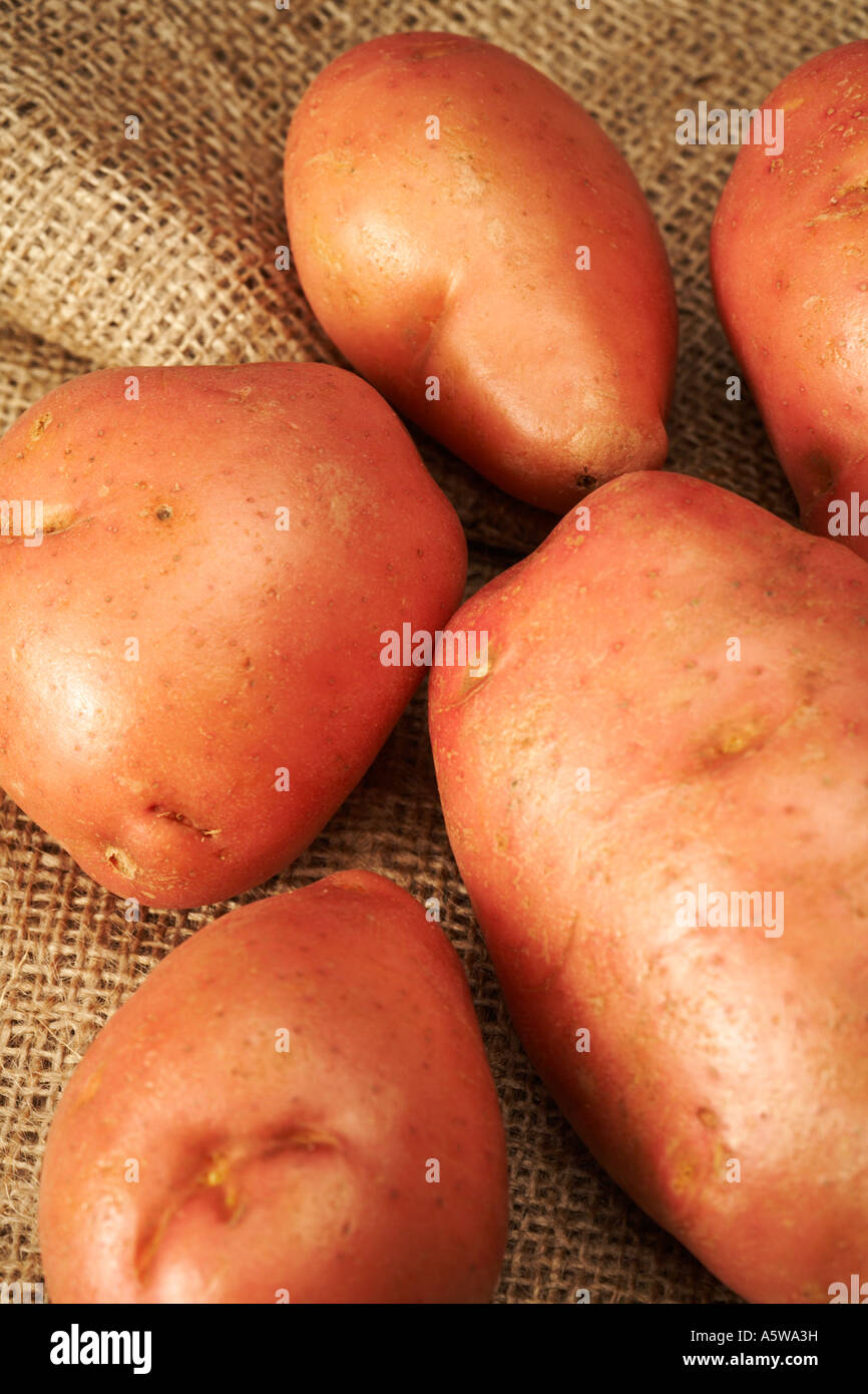 Desiree patate su sfondo di Hesse Foto Stock