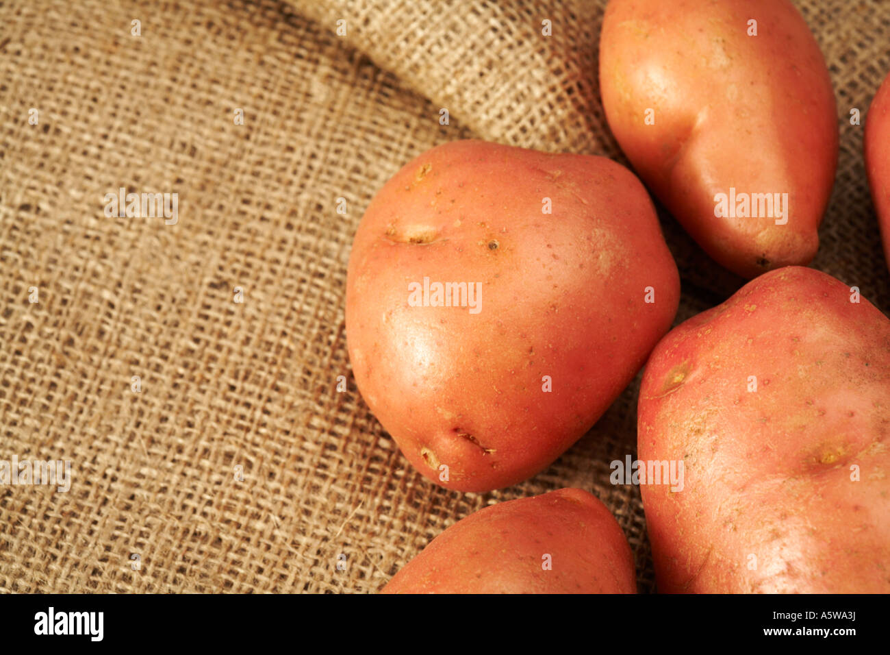 Desiree patate su sfondo di Hesse con spazio di copia Foto Stock