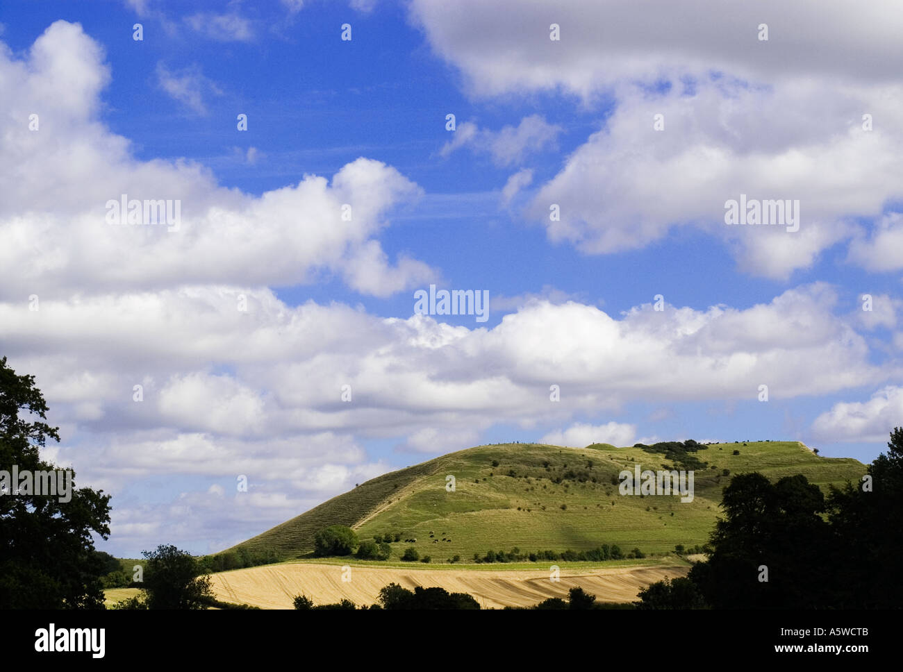 Cley collina vicino Warminster Wiltshire, Inghilterra REGNO UNITO Foto Stock
