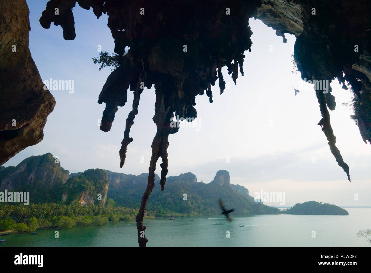 Stalattiti di calcare Railay Bay East Ao Railay Thailandia Foto Stock