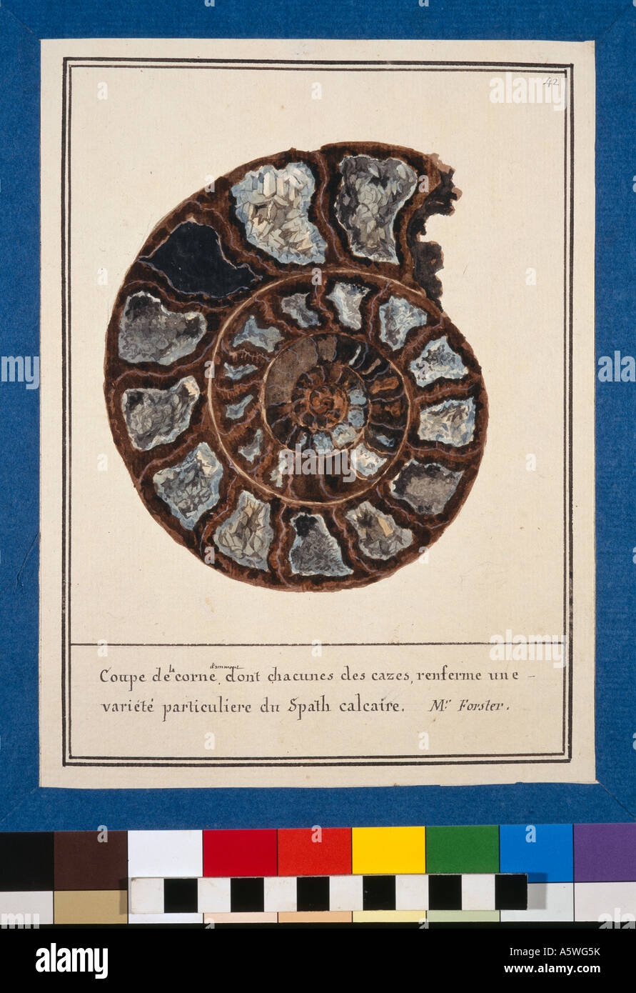 La piastra 42 dal volume Mineralogie 1 1790 da Swebach Desfontaines Foto Stock