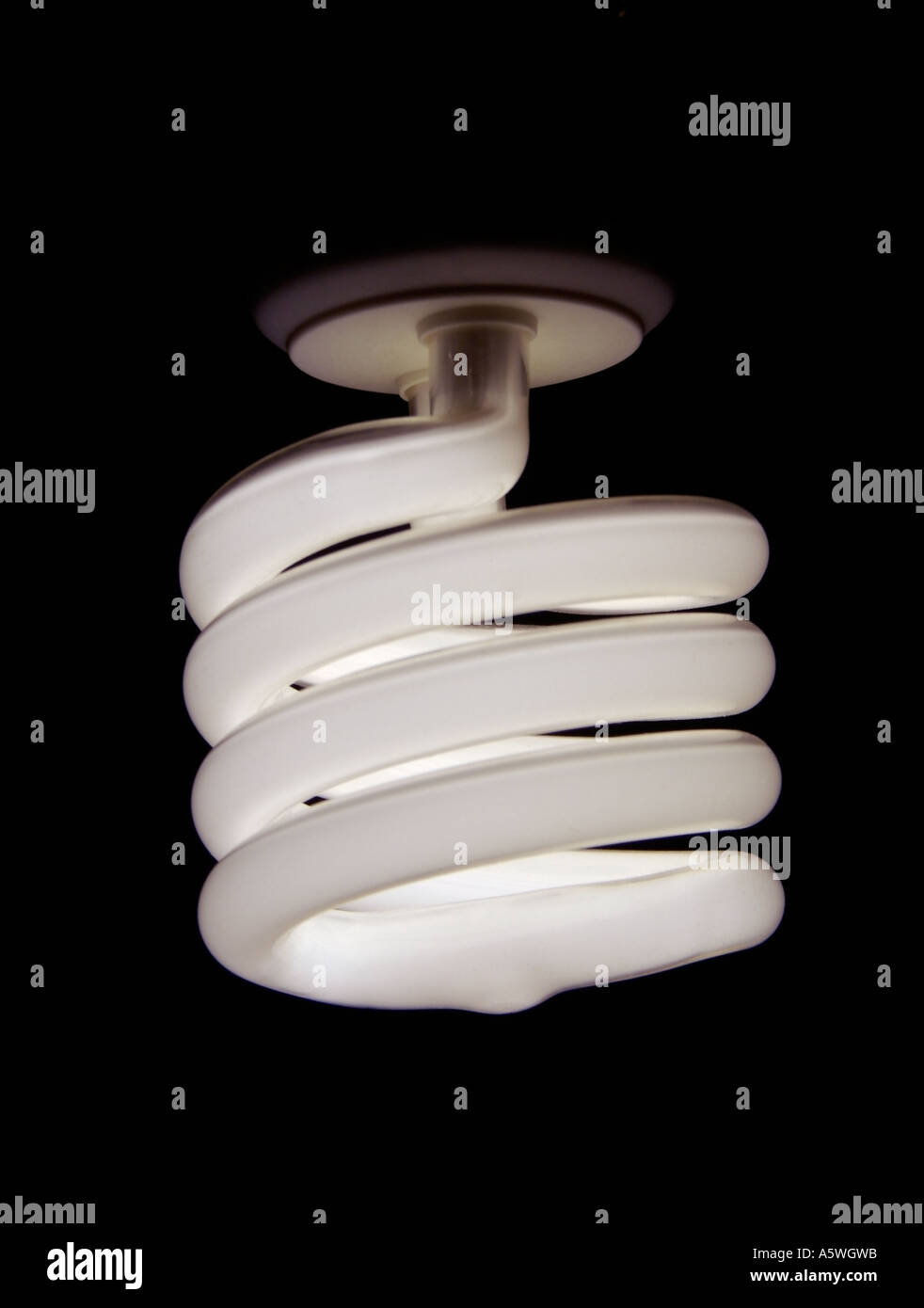 Accesa lampada fluorescente compatta da sfondo nero Foto Stock