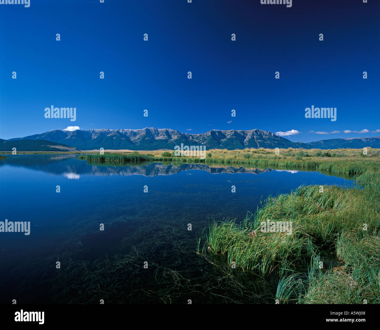 Il Red Rock Lakes National Wildlife Refuge Centennial Mountains Montana USA Foto Stock