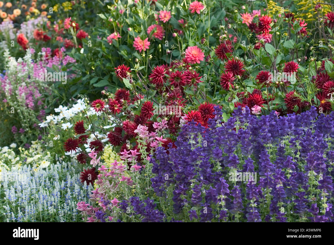 Ben rifornito di fiori misti confine Foto Stock