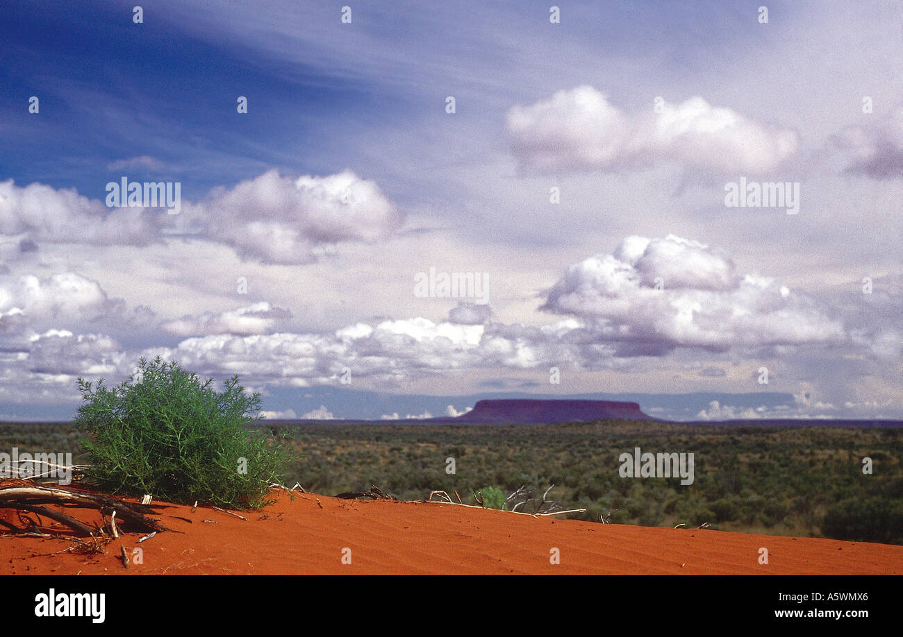 Montare Connor nei pressi di Uluru Territorio del Nord Australia Foto Stock