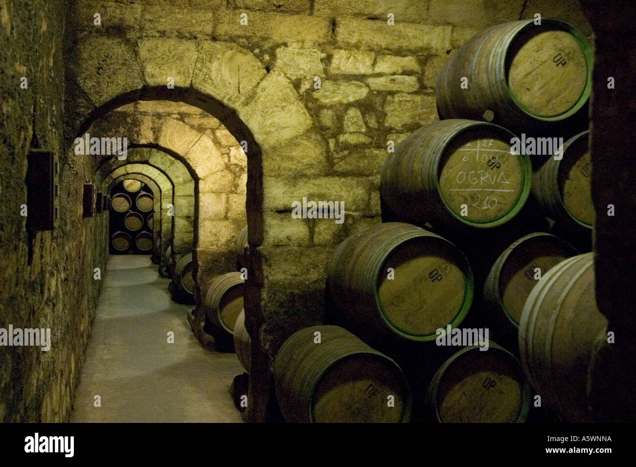 Barili di vino Rioja nelle vecchie cantine sotterranee nel 1860 circa a Marques de Riscal, La Rioja Foto Stock